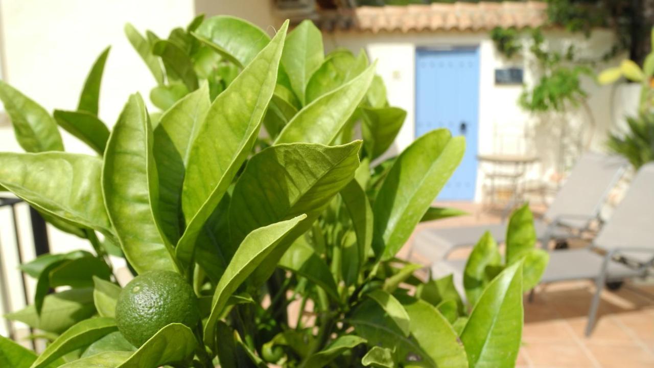 Casa Romero Lliber エクステリア 写真