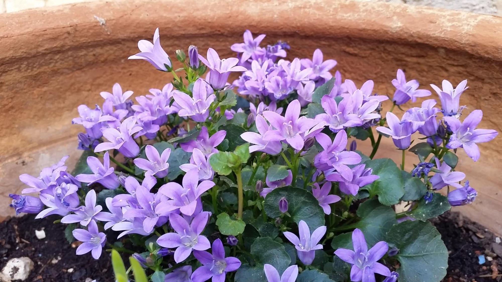 Casa Romero Lliber 部屋 写真